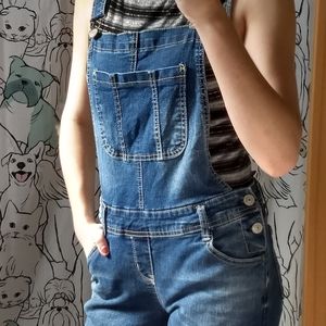 Denim Overalls